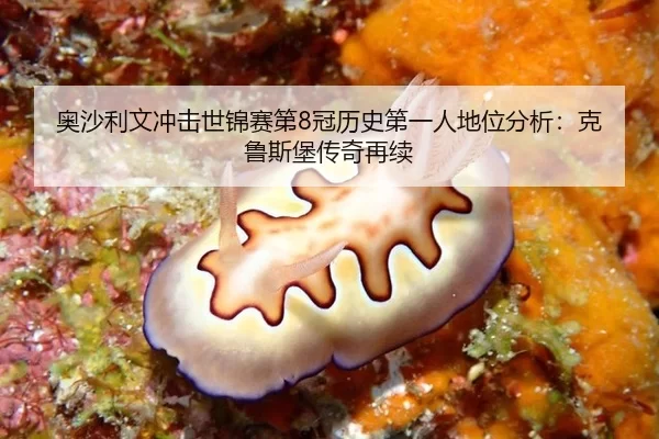 奥沙利文冲击世锦赛第8冠历史第一人地位分析：克鲁斯堡传奇再续