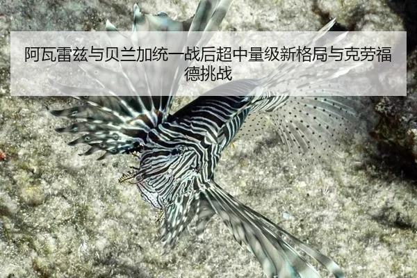 a-wa-lei-zi-yu-bei-lan-jia-tong-yi-zhan-hou-chao-zhong-liang-ji-xin-ge-ju-yu-ke-lao-fu-de-tiao-zhan-3-702.jpg